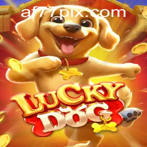 Exploring the World of LuckyDog and the Mysterious AF77